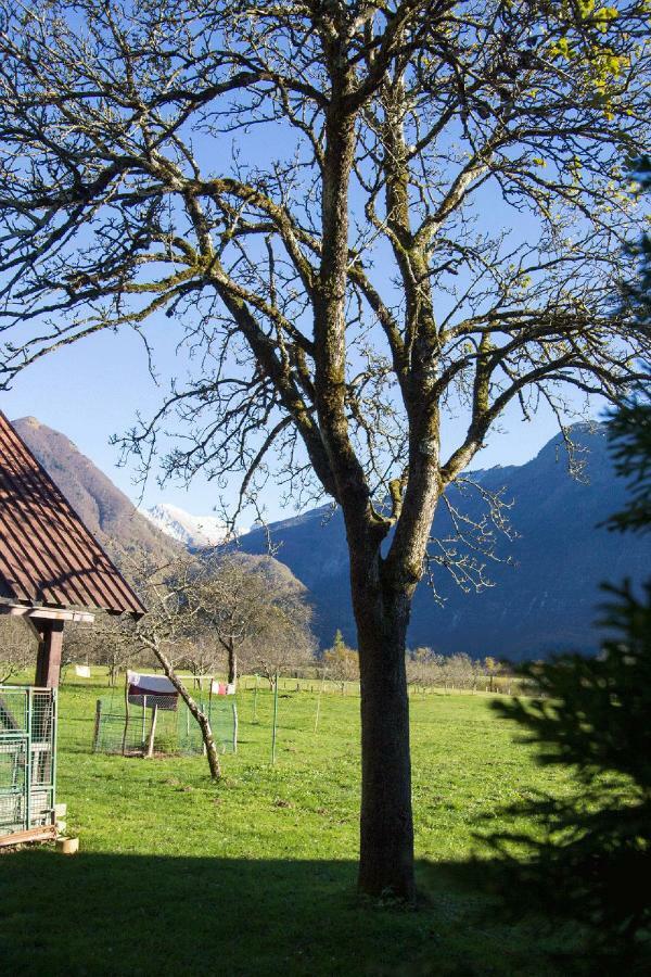 Apartment Mavrica Bovec Buitenkant foto